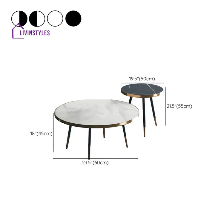 Falguni Stainless Steel Frame Coffee Table for Living Room
