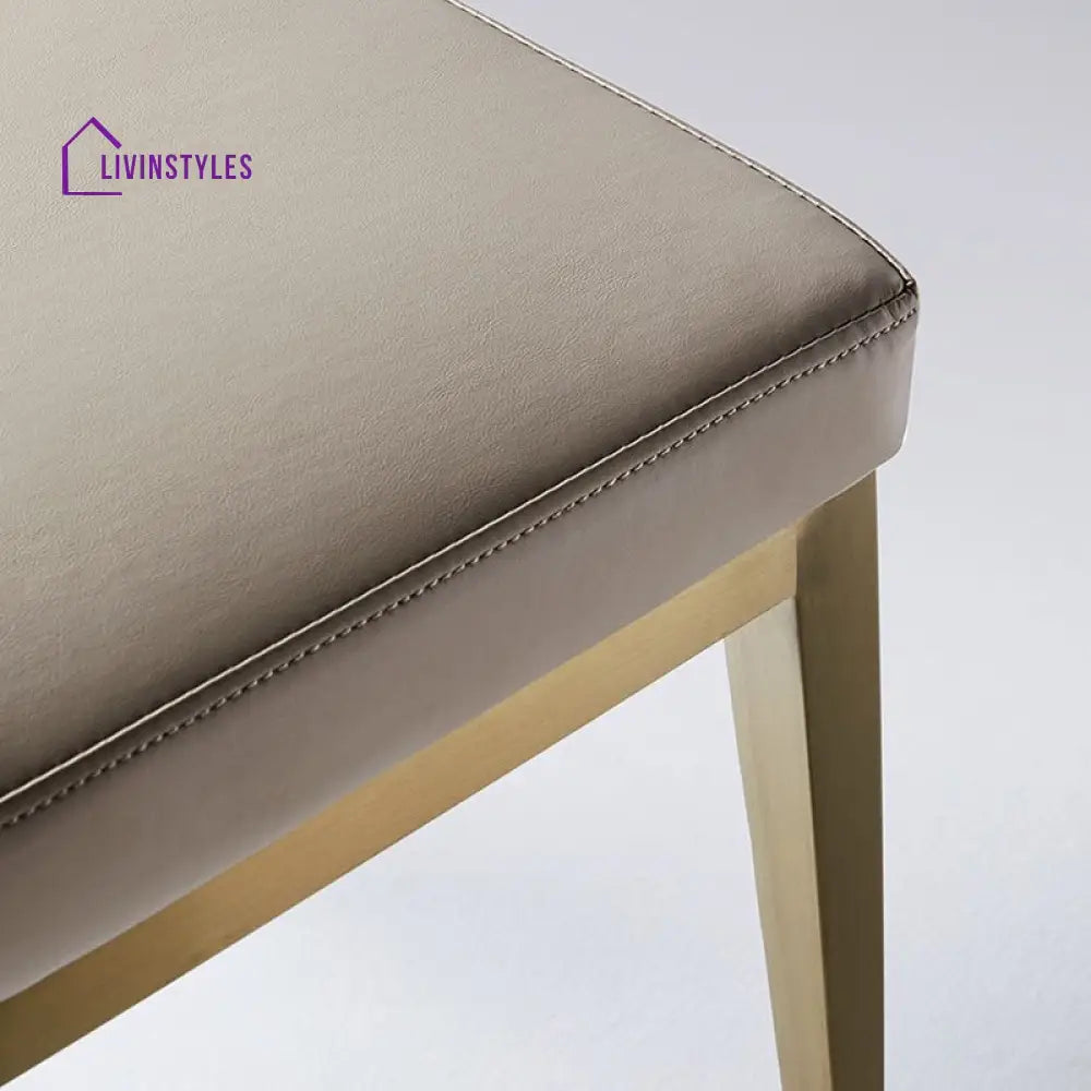 Falisha Metal Dining Chair | Stainless Steel