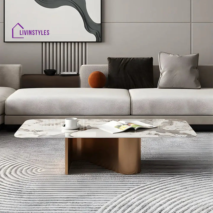Falisha Stainless Steel Frame Coffee Table for Living Room