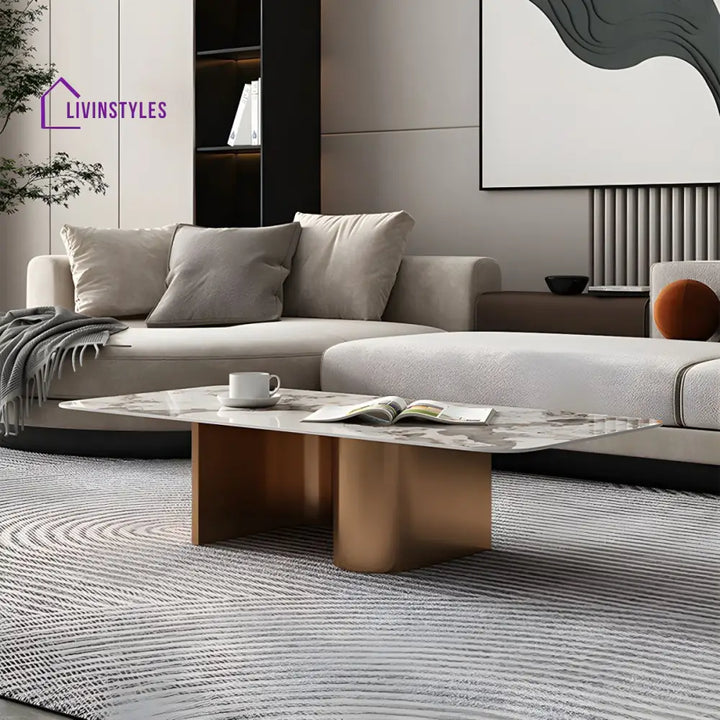Falisha Stainless Steel Frame Coffee Table for Living Room