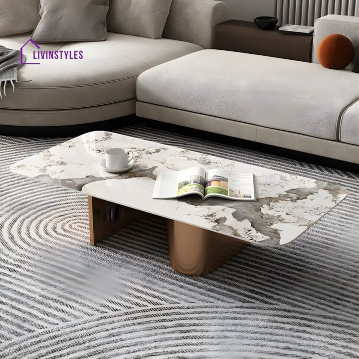 Falisha Stainless Steel Frame Coffee Table for Living Room