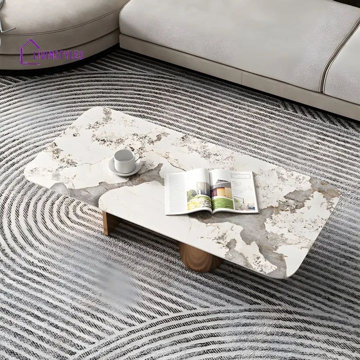 Falisha Stainless Steel Frame Coffee Table for Living Room