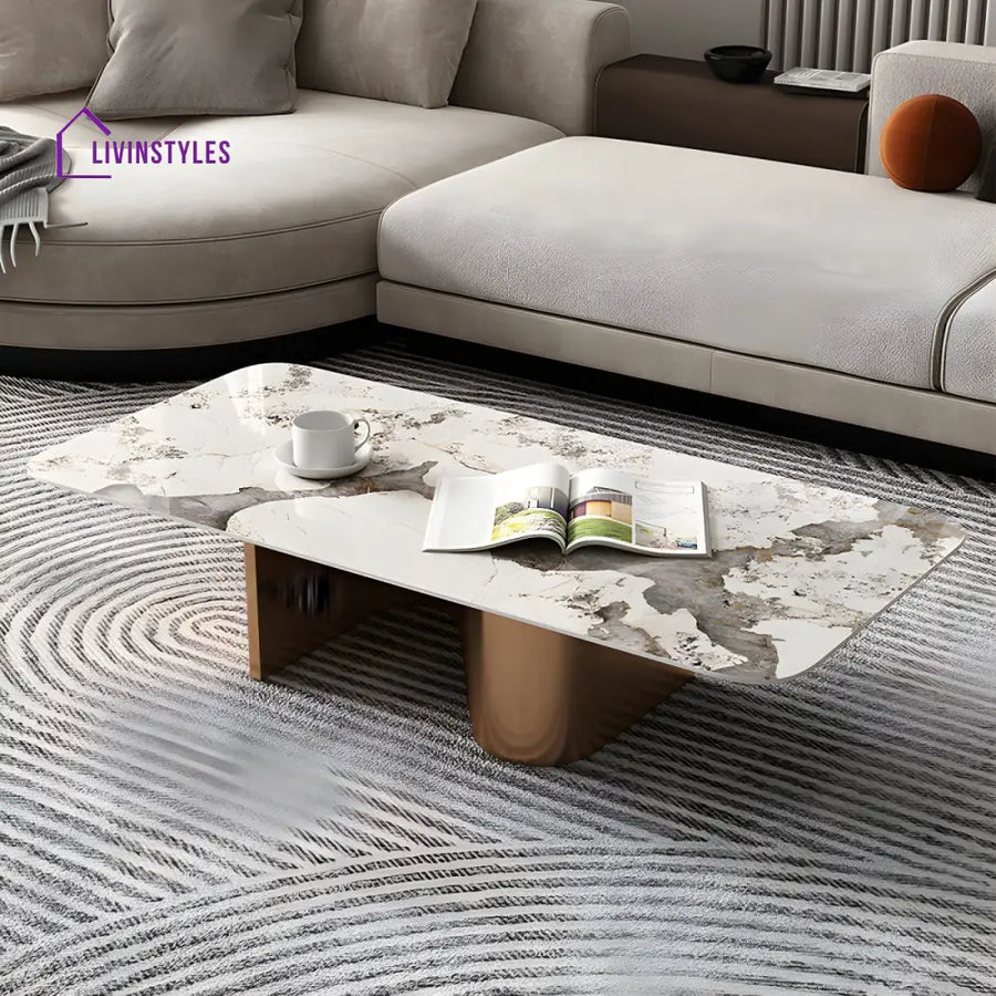 Falisha Stainless Steel Frame Coffee Table for Living Room