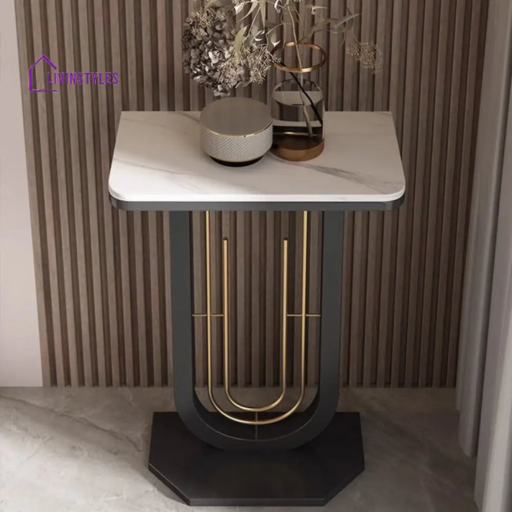 Faneesh Stainless Steel Living Room Console Table