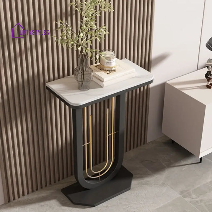 Faneesh Stainless Steel Living Room Console Table