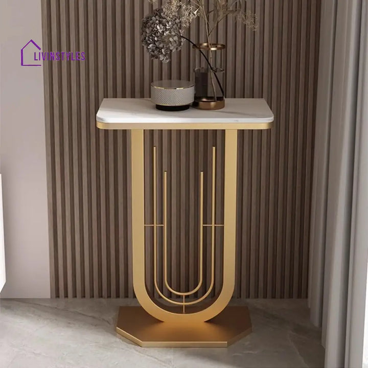 Faneesh Stainless Steel Living Room Console Table