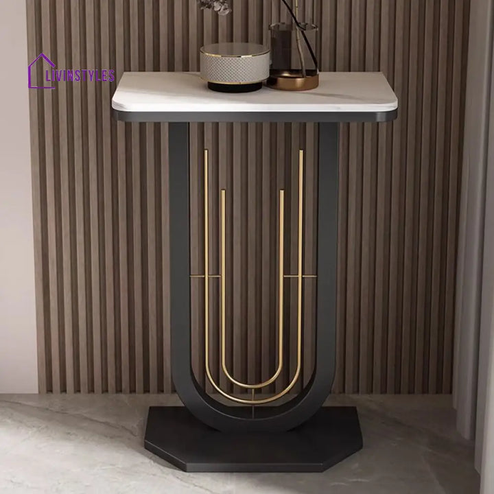 Faneesh Stainless Steel Living Room Console Table