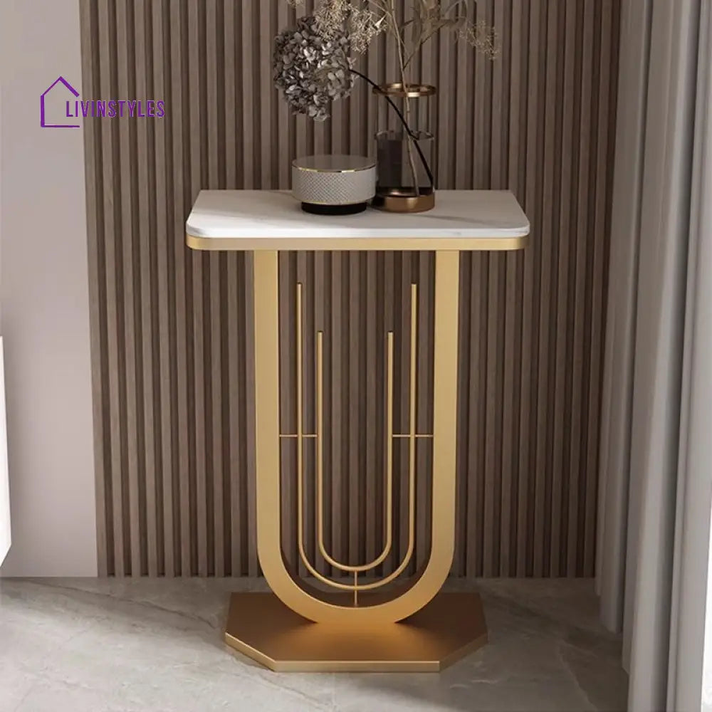 Faneesh Stainless Steel Living Room Console Table
