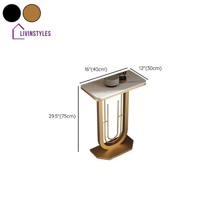 Faneesh Stainless Steel Living Room Console Table