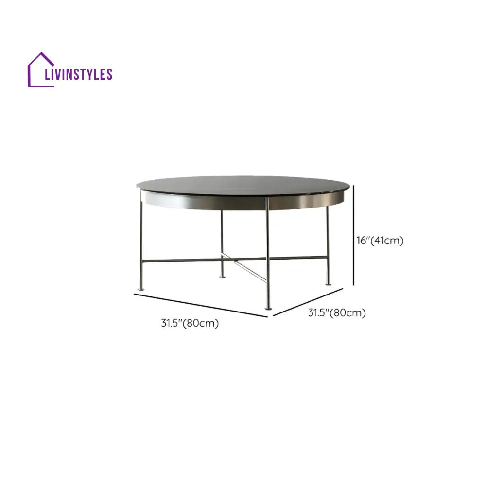 Farhan Stainless Steel Frame Coffee Table for Living Room