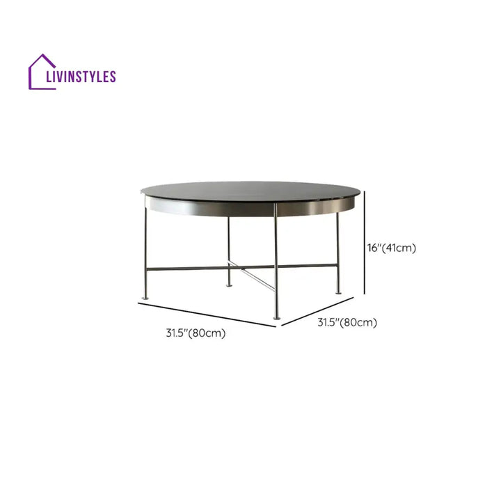 Farhan Stainless Steel Frame Coffee Table for Living Room