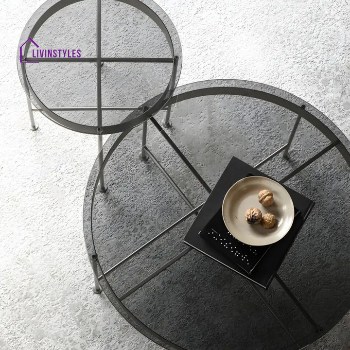 Farhan Stainless Steel Frame Coffee Table for Living Room
