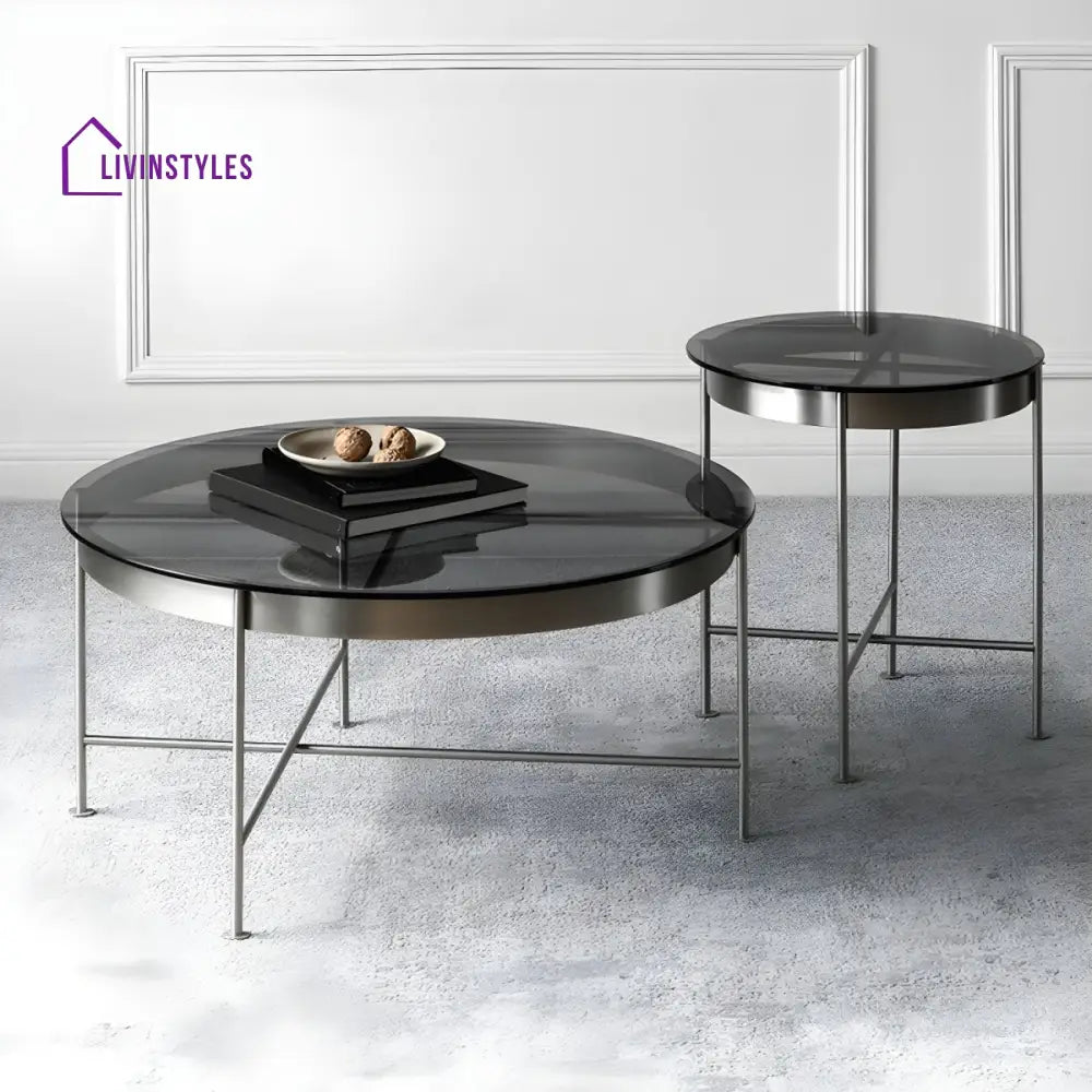 Farhan Stainless Steel Frame Coffee Table for Living Room