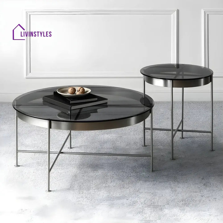 Farhan Stainless Steel Frame Coffee Table for Living Room