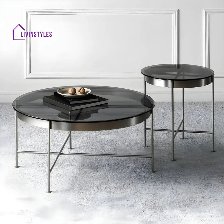 Farhan Stainless Steel Frame Coffee Table for Living Room