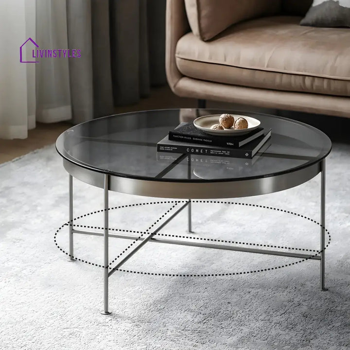 Farhan Stainless Steel Frame Coffee Table for Living Room