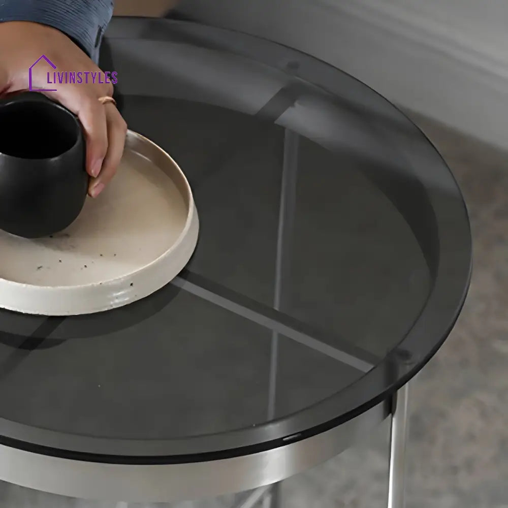 Farhan Stainless Steel Frame Coffee Table for Living Room