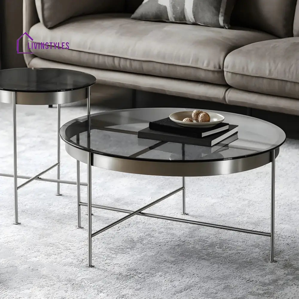 Farhan Stainless Steel Frame Coffee Table for Living Room