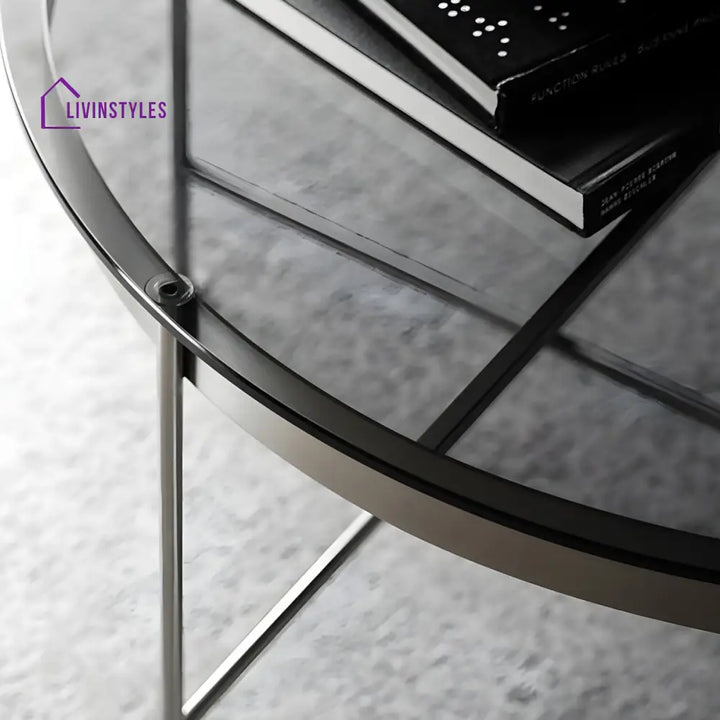 Farhan Stainless Steel Frame Coffee Table for Living Room