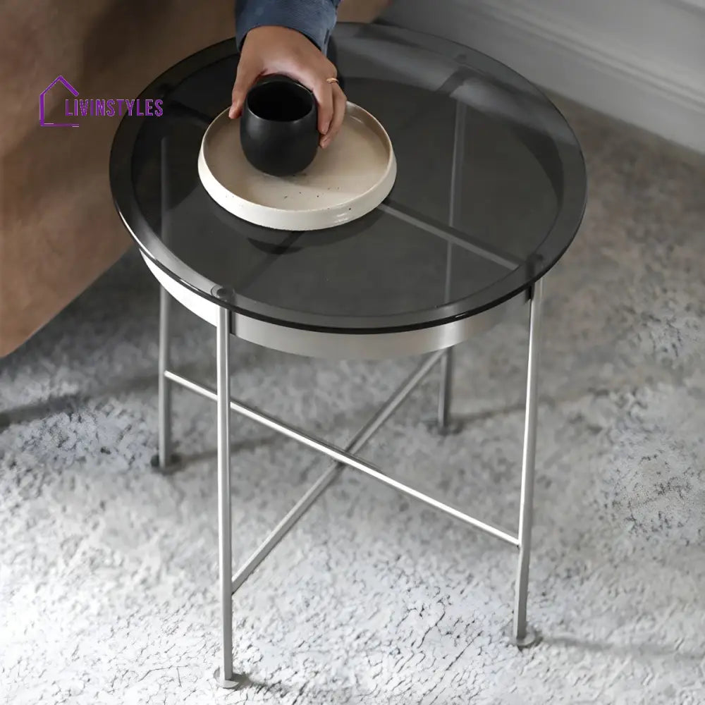 Farhan Stainless Steel Frame Coffee Table for Living Room