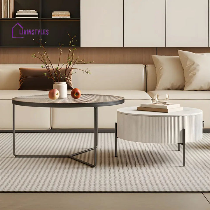 Fariya Stainless Steel Coffee Table for Living Room