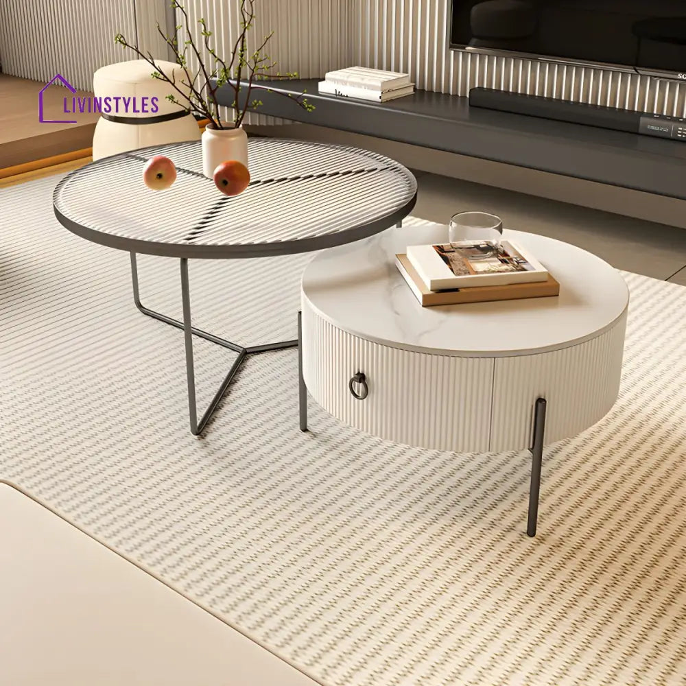 Fariya Stainless Steel Coffee Table for Living Room