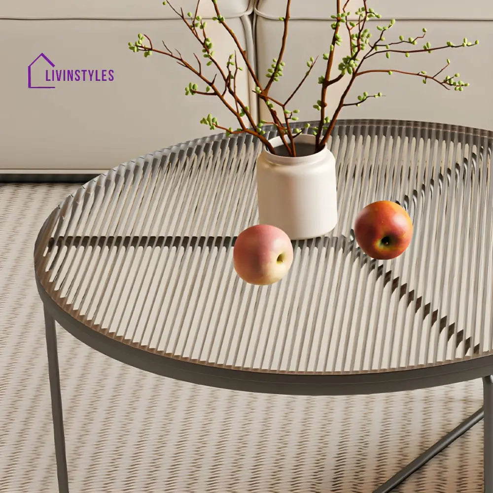 Fariya Stainless Steel Coffee Table for Living Room