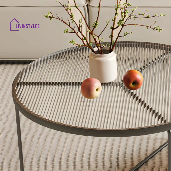 Fariya Stainless Steel Coffee Table for Living Room