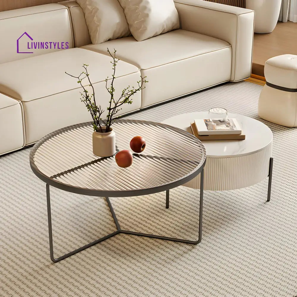 Fariya Stainless Steel Coffee Table for Living Room