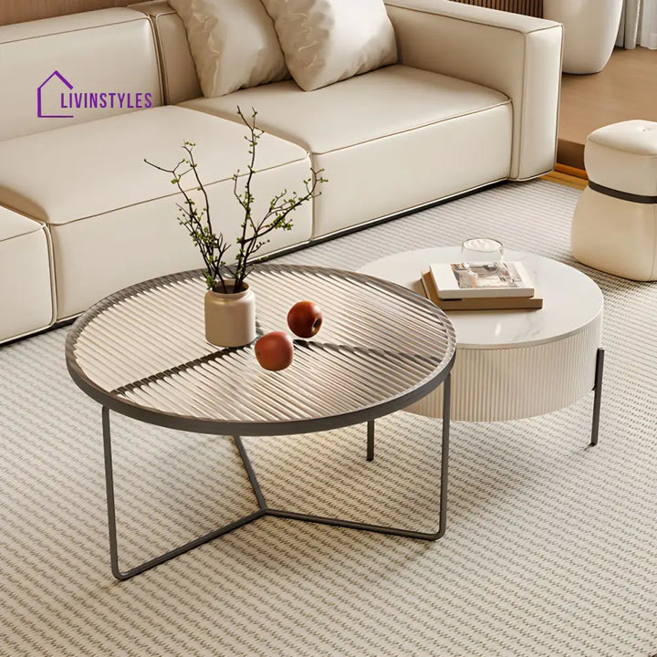 Fariya Stainless Steel Coffee Table for Living Room