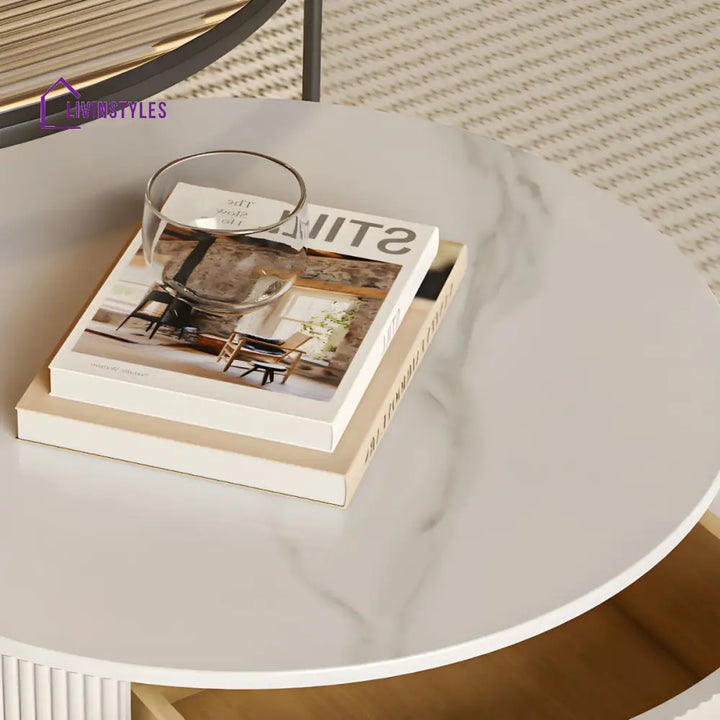 Fariya Stainless Steel Coffee Table for Living Room