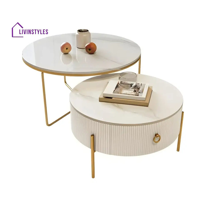 Fariya Stainless Steel Coffee Table for Living Room
