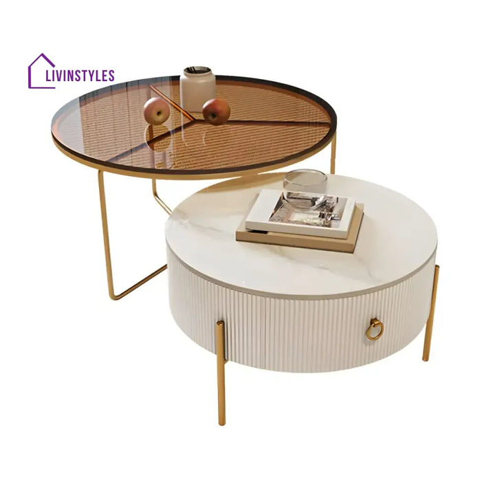 Fariya Stainless Steel Coffee Table for Living Room