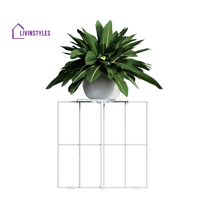 Filantus L2S W
