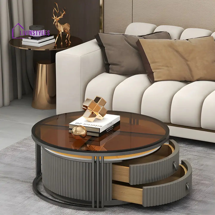 Gaurav Stainless Steel Frame Coffee Table for Living Room