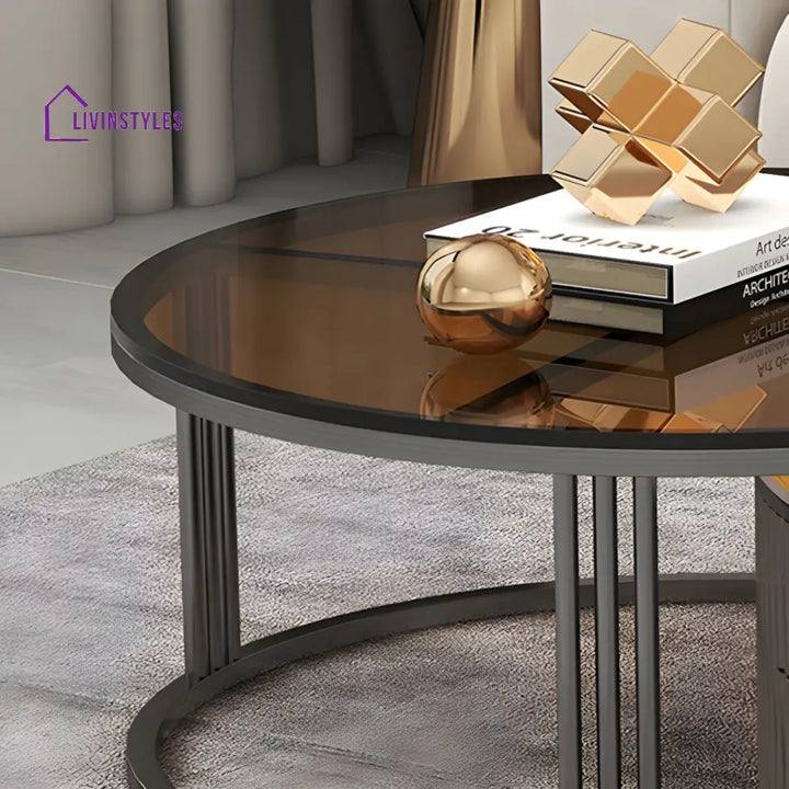 Gaurav Stainless Steel Frame Coffee Table for Living Room