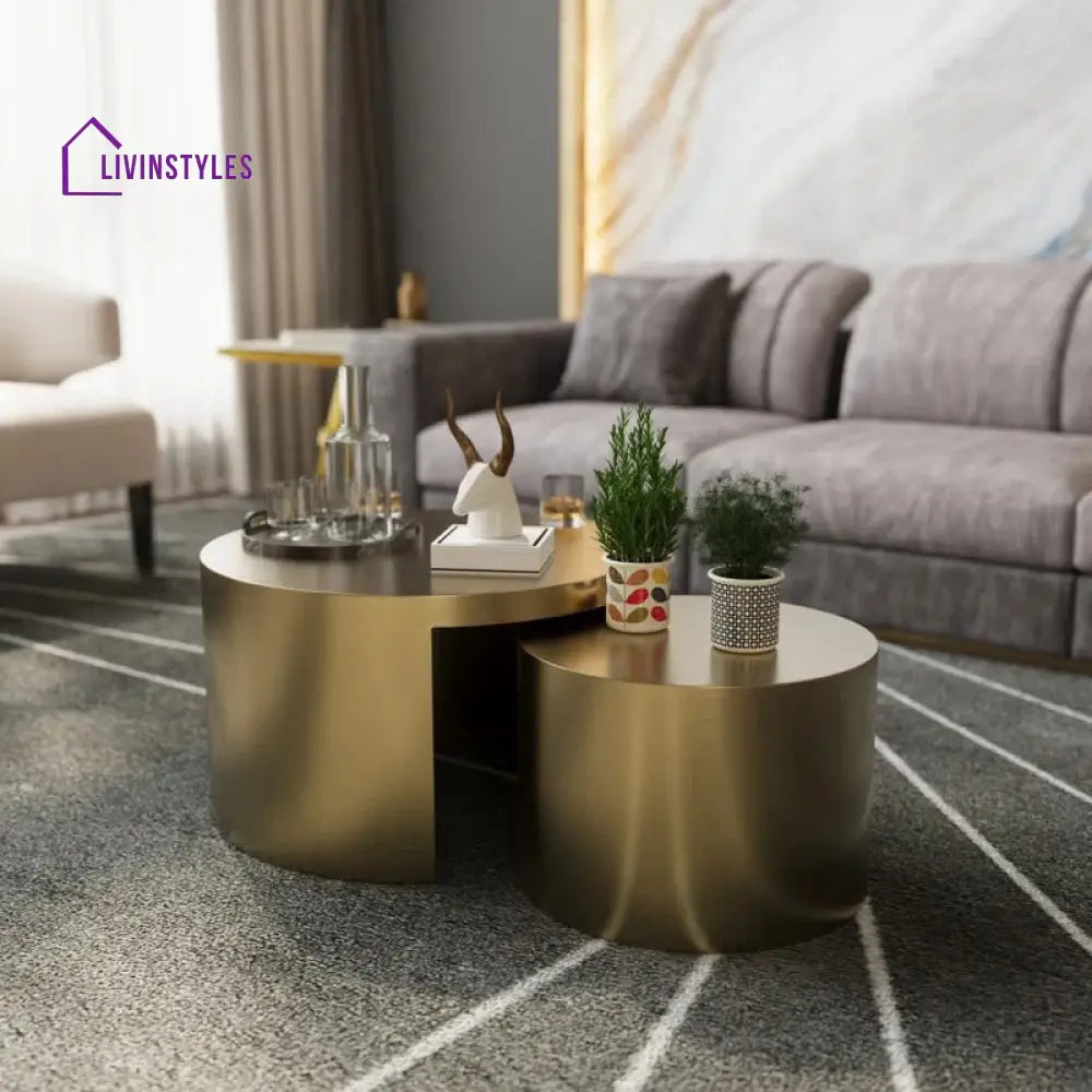 Gauri Stainless Steel Coffee Table Set of 2 for Living Room | Nesting Table