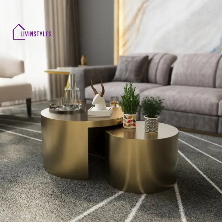 Gauri Stainless Steel Coffee Table Set of 2 for Living Room | Nesting Table