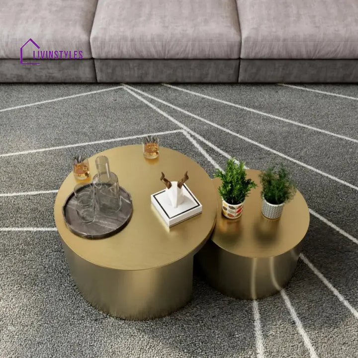 Gauri Stainless Steel Coffee Table Set of 2 for Living Room | Nesting Table