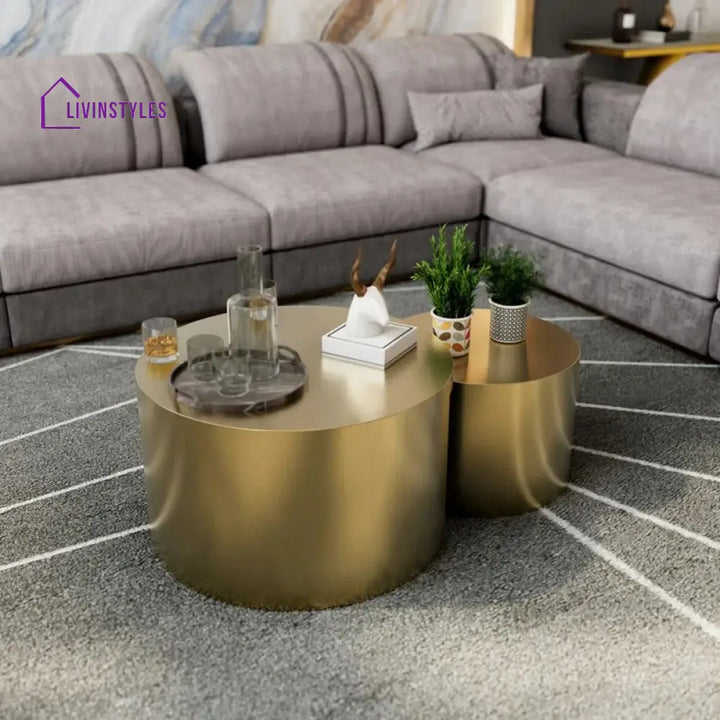 Gauri Stainless Steel Coffee Table Set of 2 for Living Room | Nesting Table