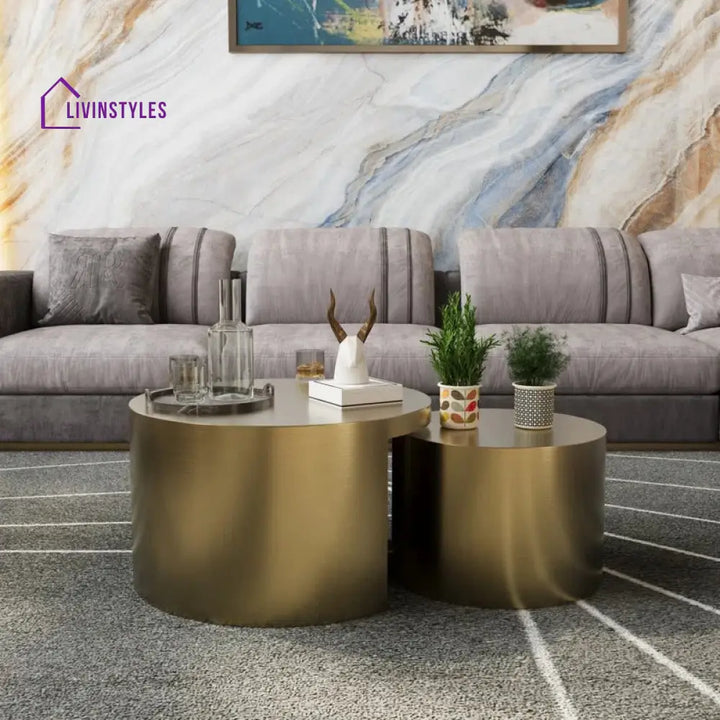 Gauri Stainless Steel Coffee Table Set of 2 for Living Room | Nesting Table
