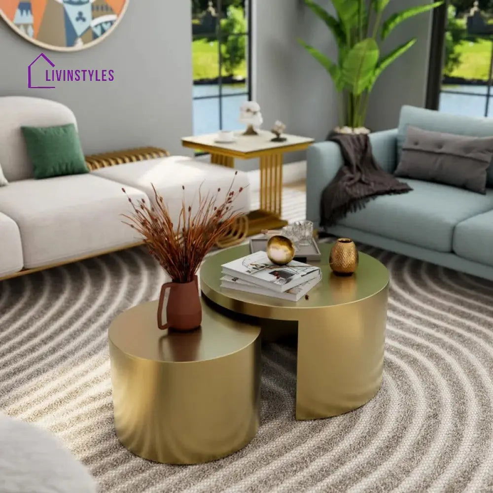 Gauri Stainless Steel Coffee Table Set of 2 for Living Room | Nesting Table