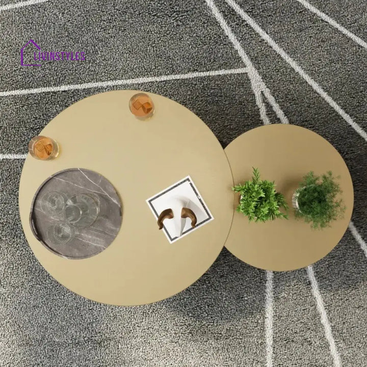 Gauri Stainless Steel Coffee Table Set of 2 for Living Room | Nesting Table