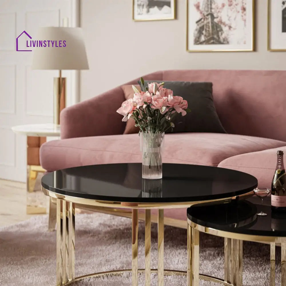 Geeta Stainless Steel Coffee Table For Living Room - Black Marble