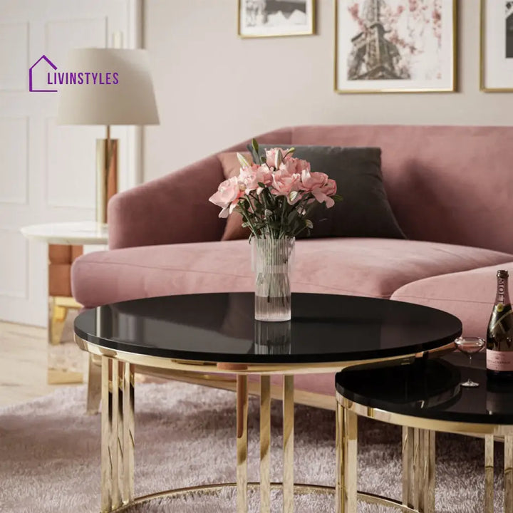 Geeta Stainless Steel Coffee Table For Living Room - Black Marble