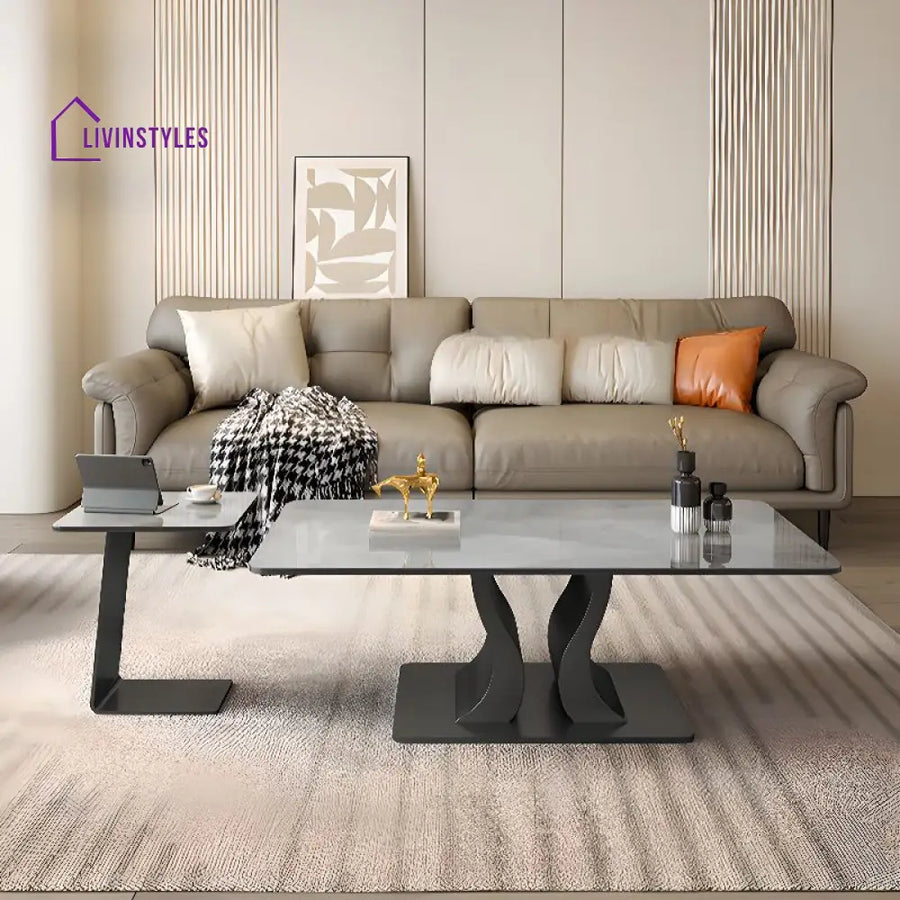 Gitali Stainless Steel Frame and Marble Top Coffee Table for Living Room