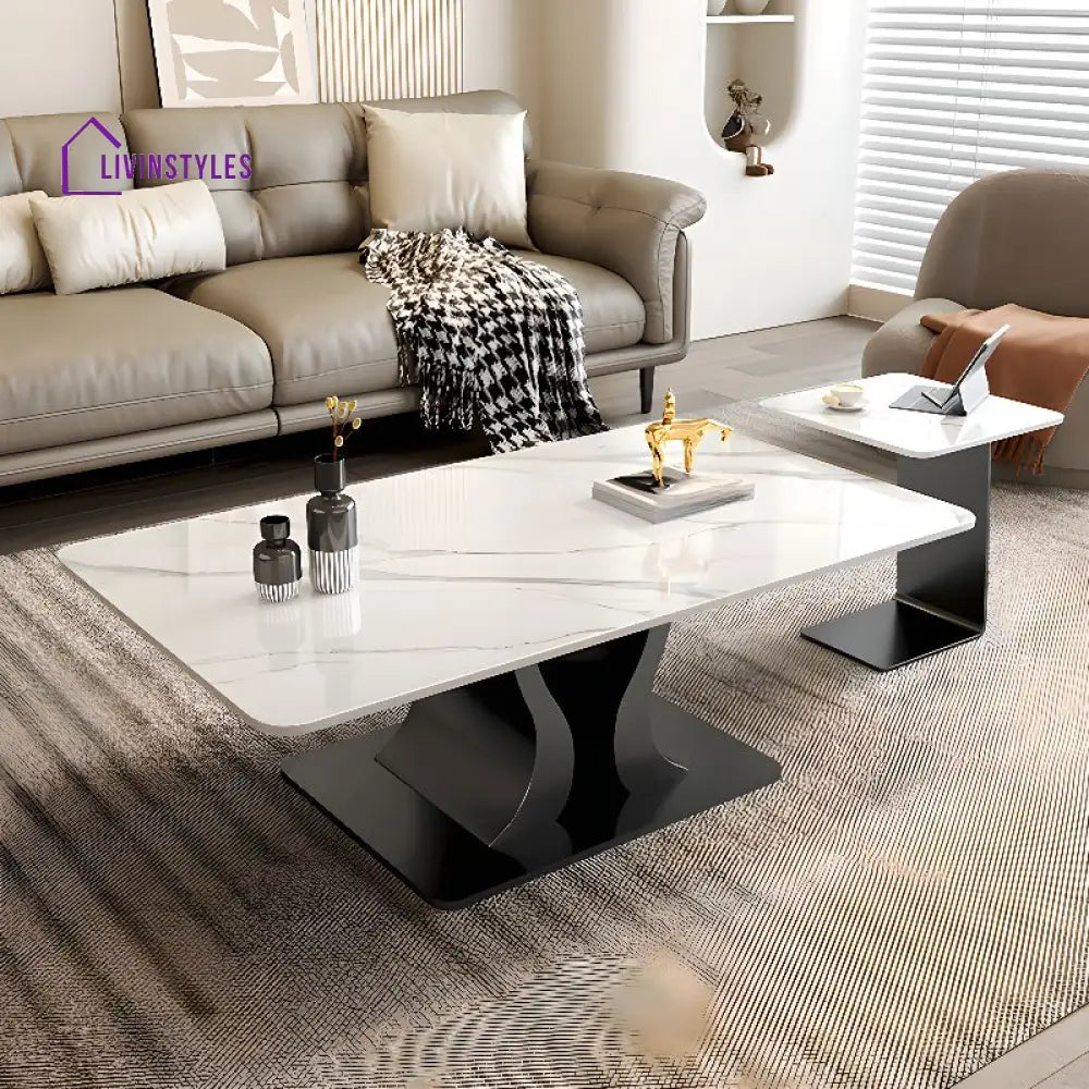 Gitali Stainless Steel Frame and Marble Top Coffee Table for Living Room