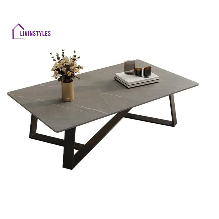 Gurnoor Stainless Steel Coffee Table for Living Room