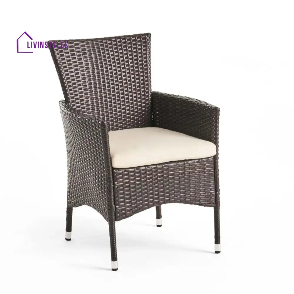 Hailey 2-Piece Outdoor Rattan Wicker Patio Dining Chairs - Dinning Chairs