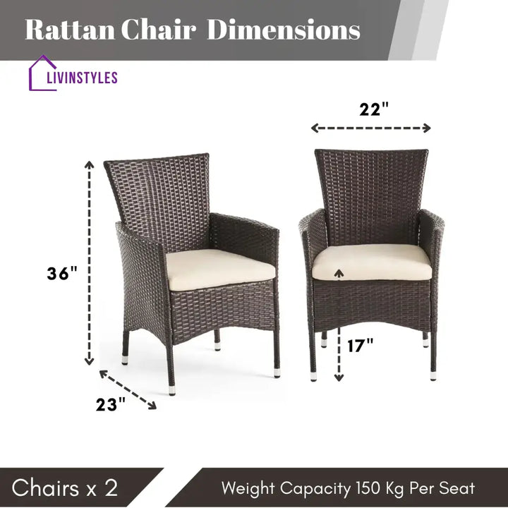 Hailey 2-Piece Outdoor Rattan Wicker Patio Dining Chairs - Dinning Chairs